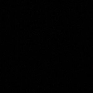 Meet your Posher, Ivy